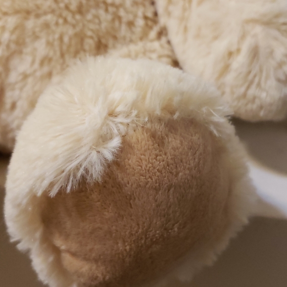 Bear - Picture 6 of 8